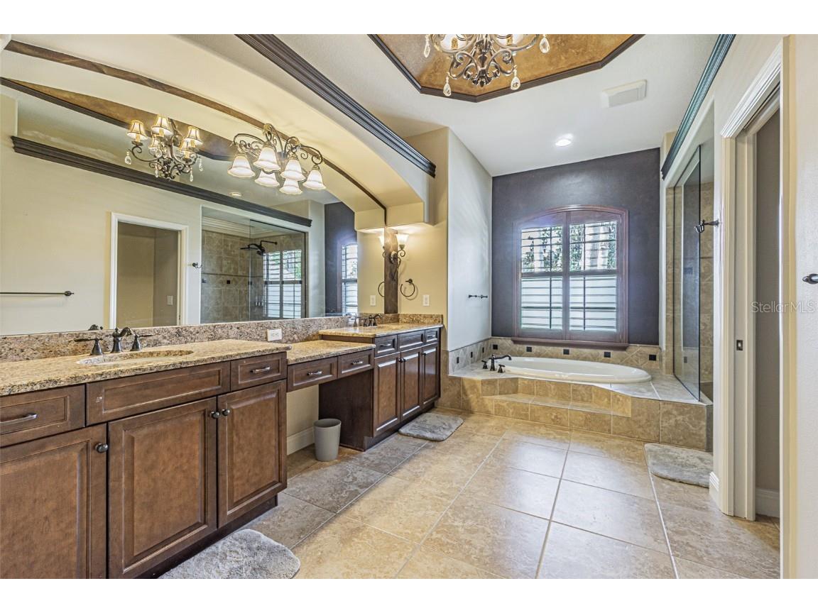 20411 Lace Cascade Road Land O Lakes FL 34637 TB8412719 image21