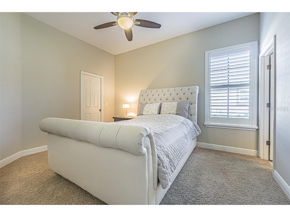 20411 Lace Cascade Road Land O Lakes FL 34637 TB8412719 image23