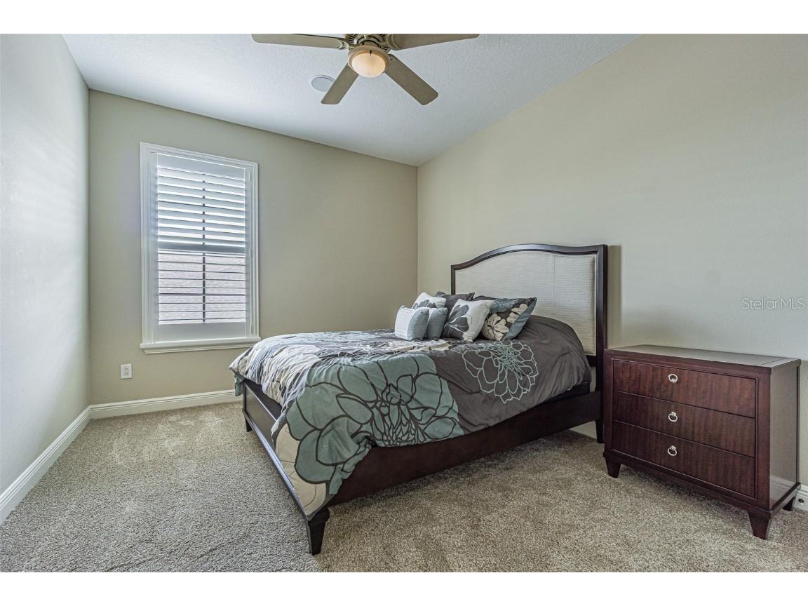 20411 Lace Cascade Road Land O Lakes FL 34637 TB8412719 image25