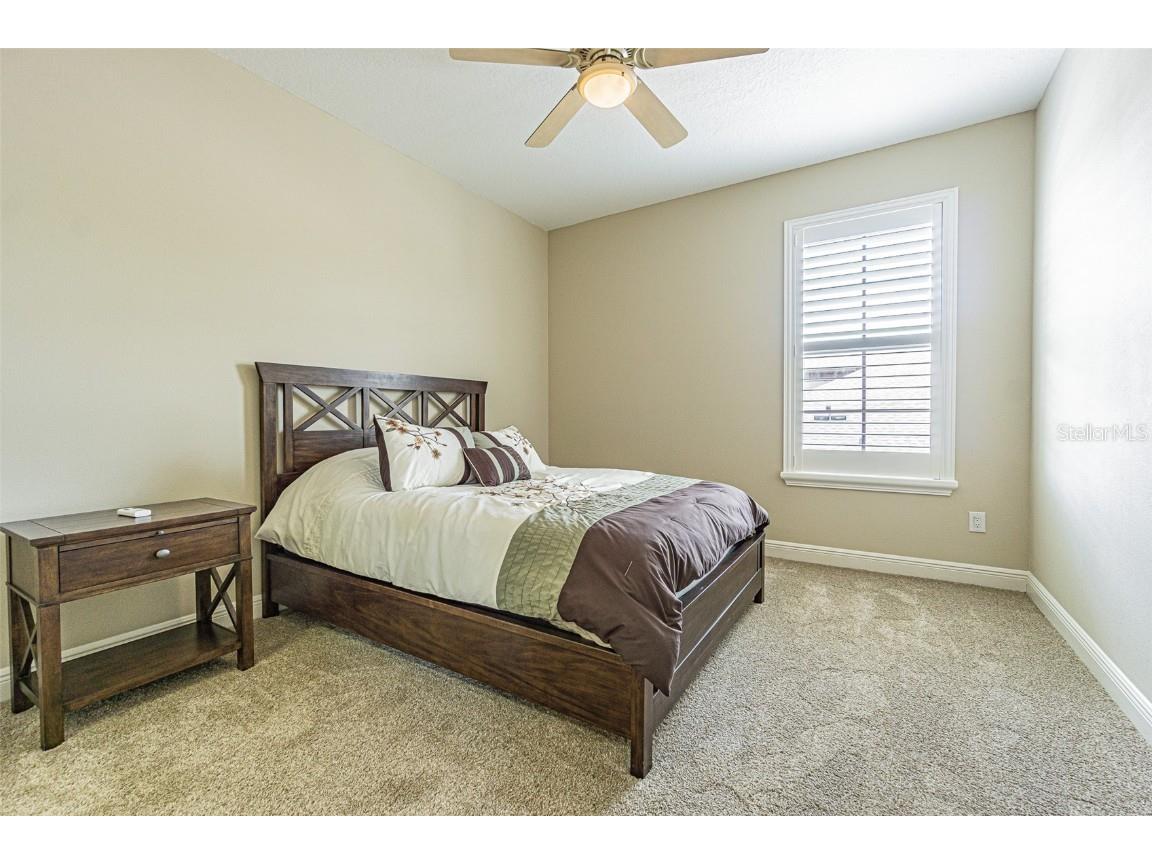 20411 Lace Cascade Road Land O Lakes FL 34637 TB8412719 image26