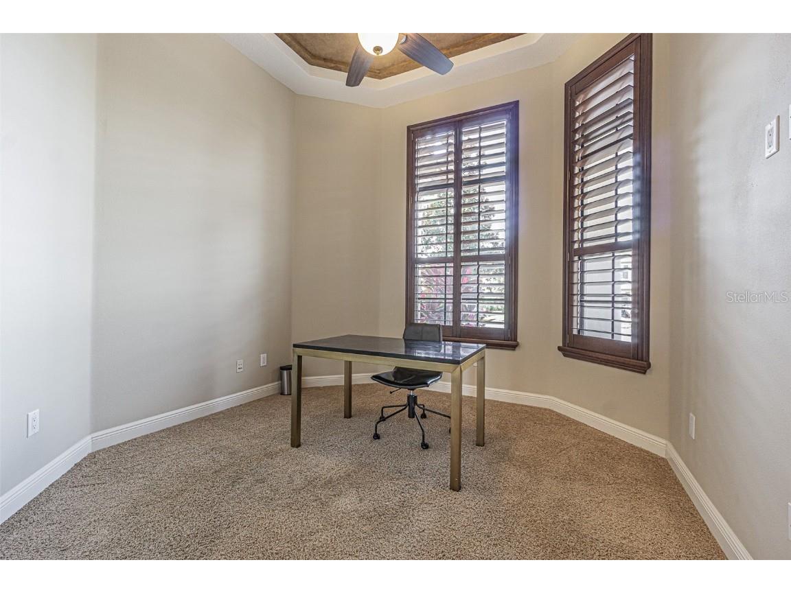 20411 Lace Cascade Road Land O Lakes FL 34637 TB8412719 image28