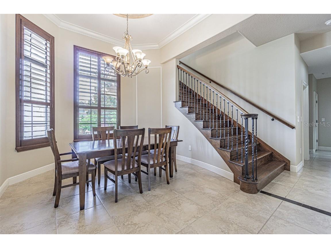 20411 Lace Cascade Road Land O Lakes FL 34637 TB8412719 image4