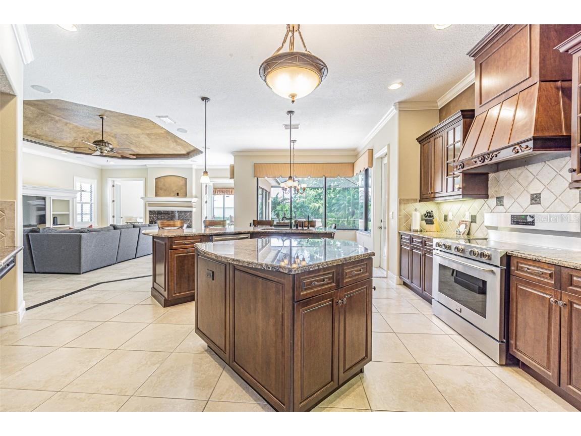 20411 Lace Cascade Road Land O Lakes FL 34637 TB8412719 image5