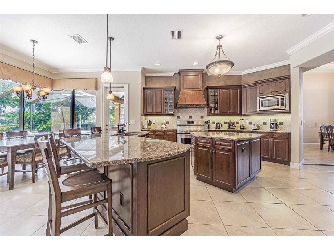 20411 Lace Cascade Road Land O Lakes FL 34637 TB8412719 image9