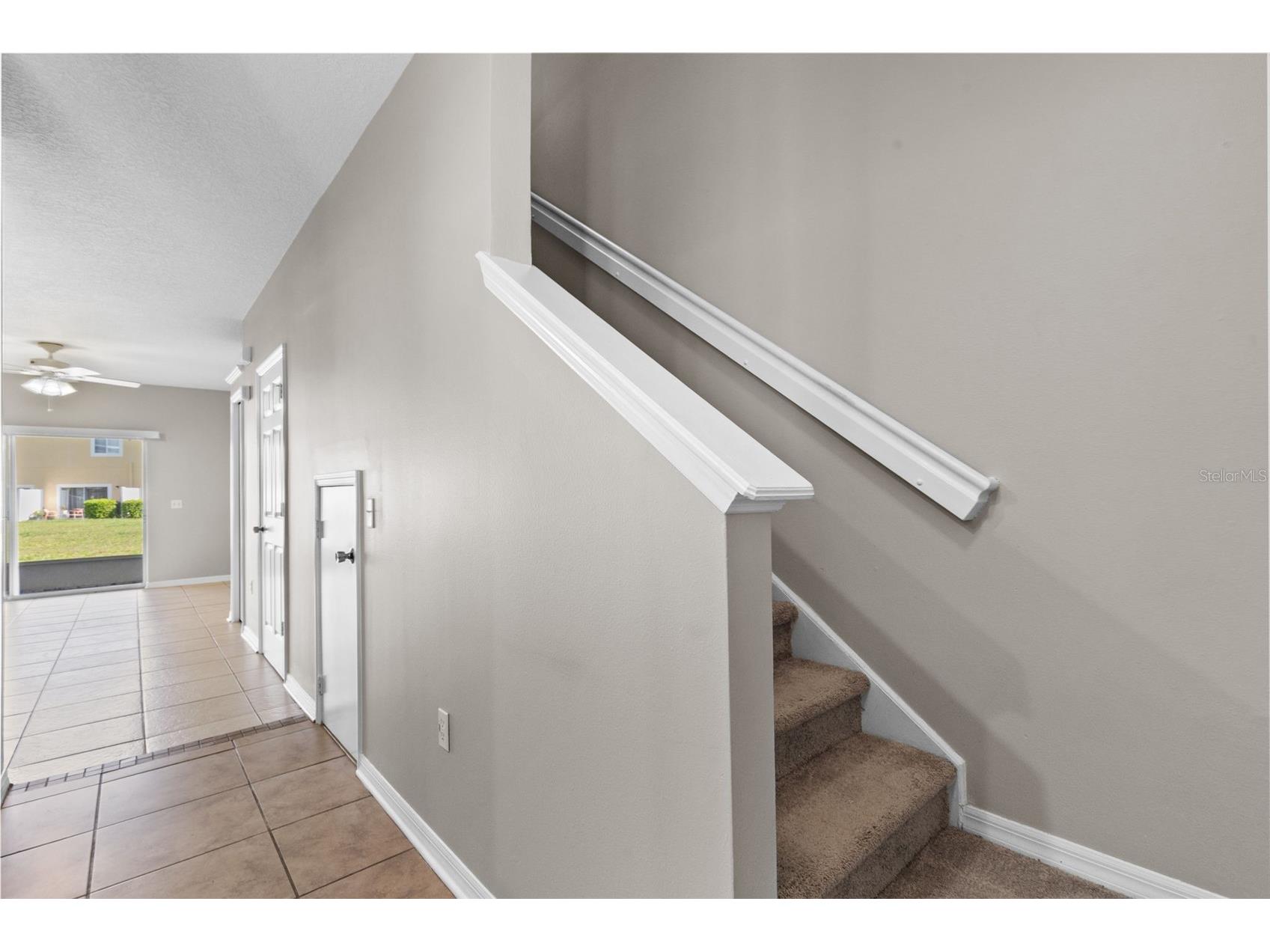 20414 Berrywood Lane Tampa FL 33647 TB8521872 image16