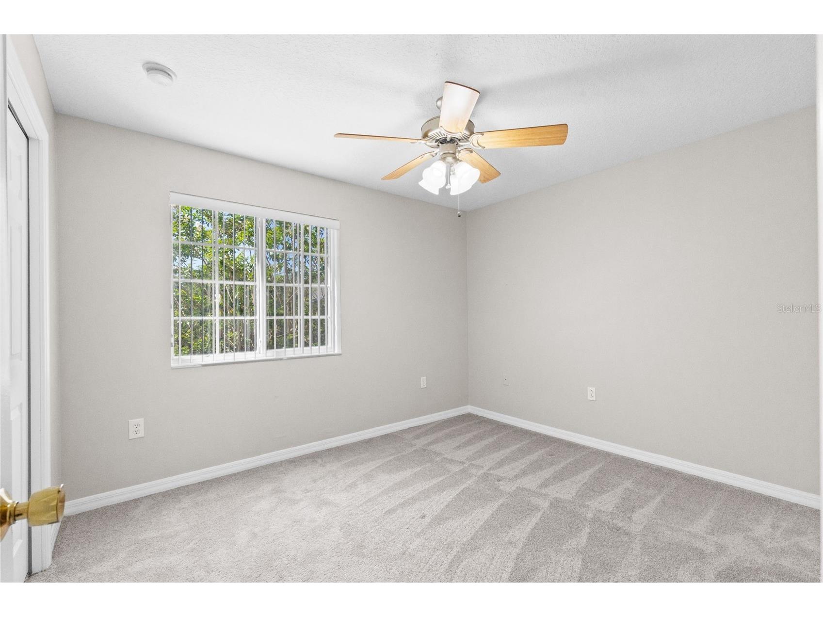 20414 Berrywood Lane Tampa FL 33647 TB8521872 image26