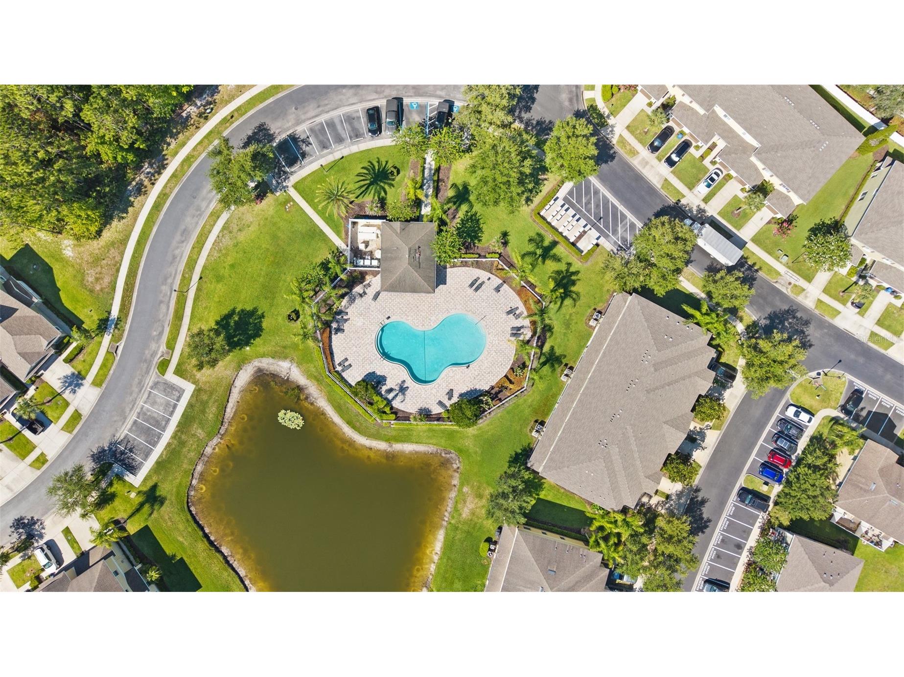 20414 Berrywood Lane Tampa FL 33647 TB8521872 image36