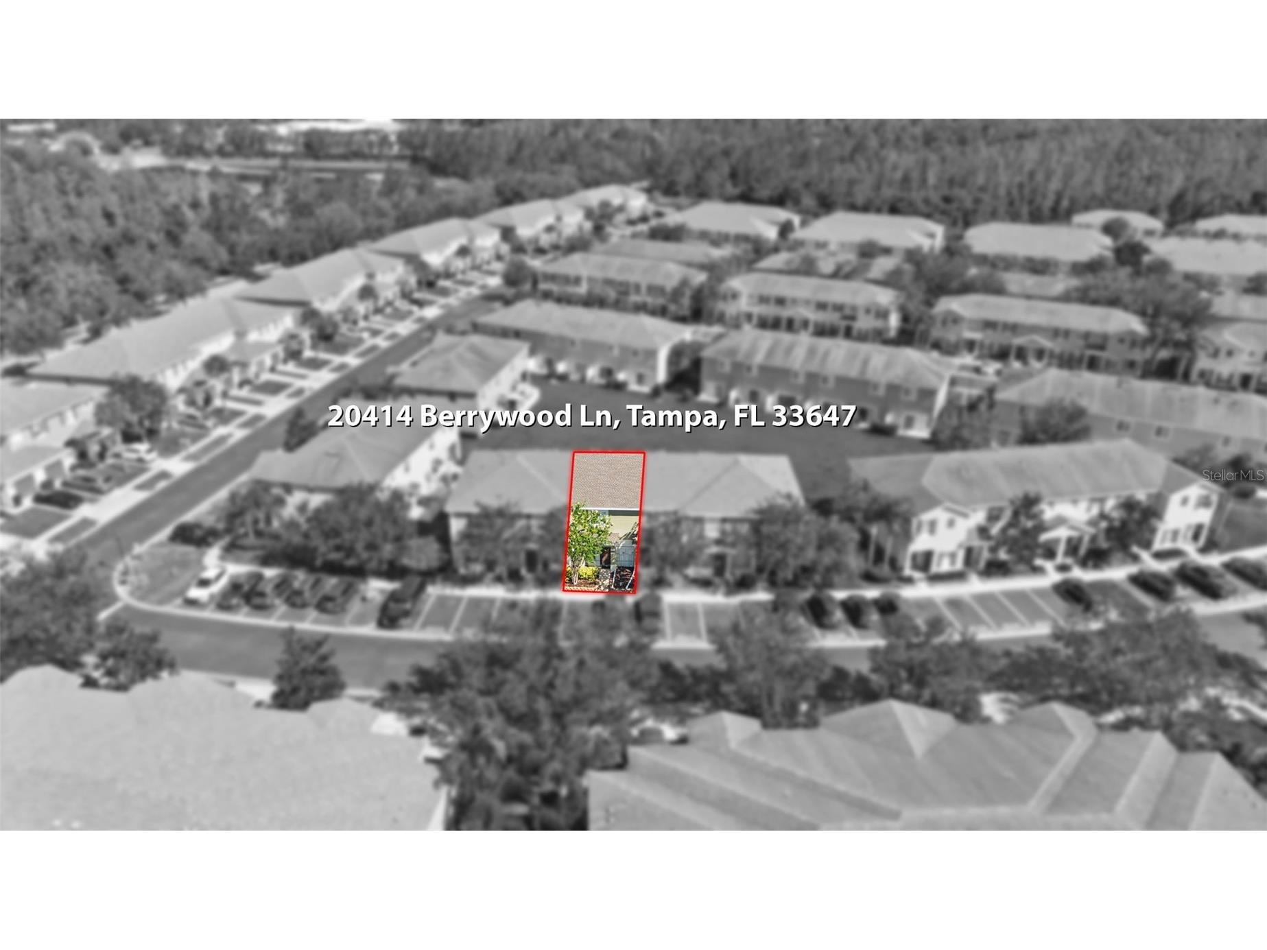 20414 Berrywood Lane Tampa FL 33647 TB8521872 image38