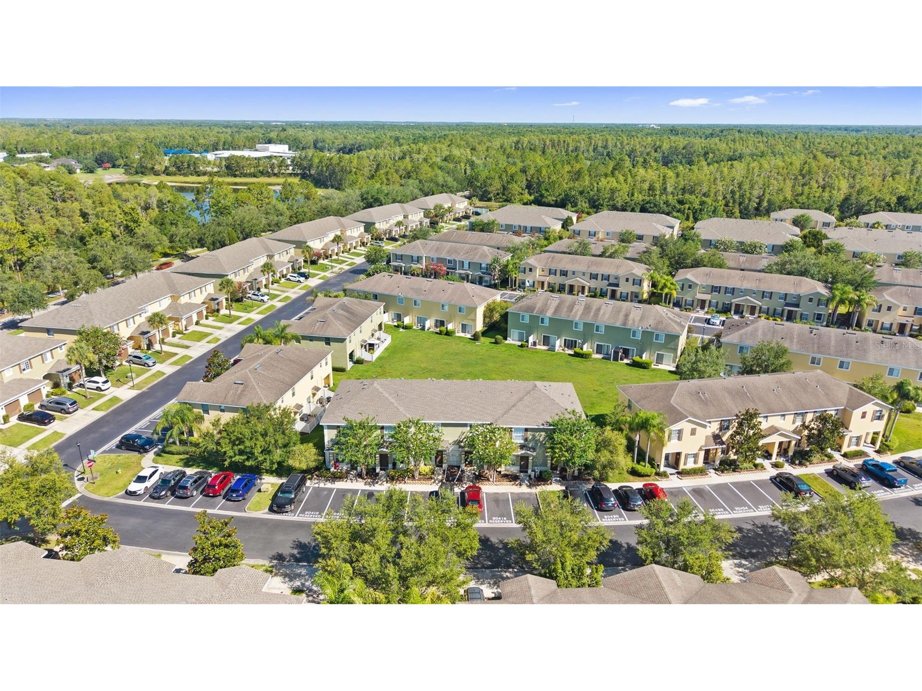 20414 Berrywood Lane Tampa FL 33647 TB8521872 image40