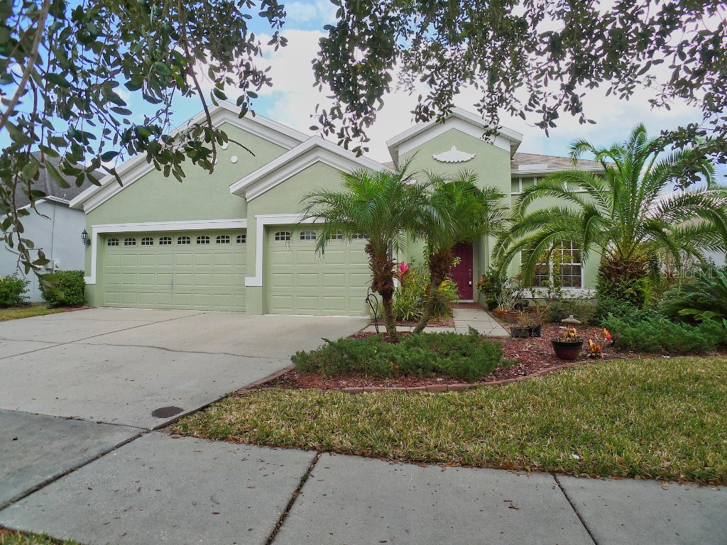 20415 Walnut Grove Lane Tampa FL 33647 - POND T3516318 image1