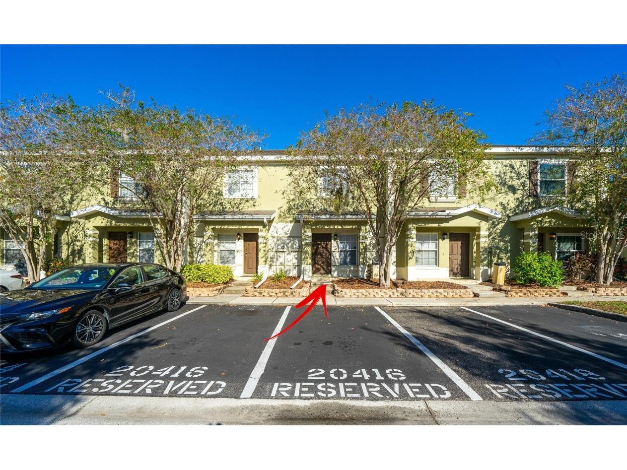 20416 Berrywood Lane Tampa FL 33647 T3479388 image1