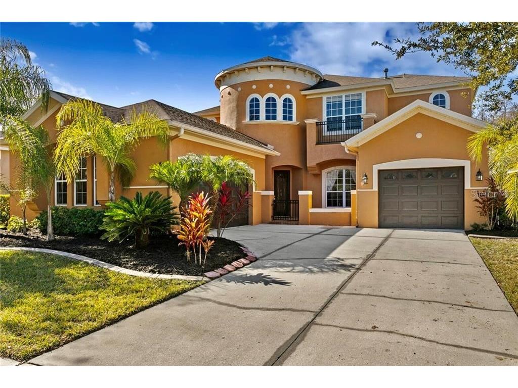 20416 Walnut Grove Lane Tampa FL 33647 T3500747 image1