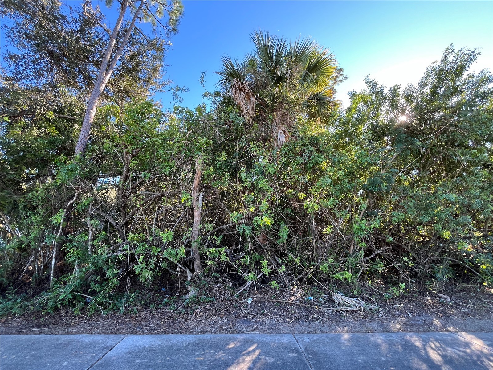 20417 Quesada Avenue Port Charlotte FL 33952 C7520463 image3