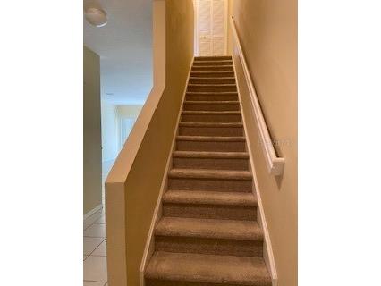 20418 Needletree Drive Tampa FL 33647 TB8479194 image12