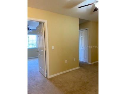 20418 Needletree Drive Tampa FL 33647 TB8479194 image13