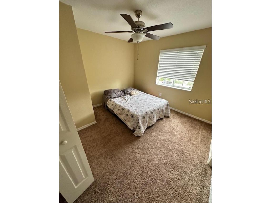 20418 Needletree Drive Tampa FL 33647 TB8479194 image14