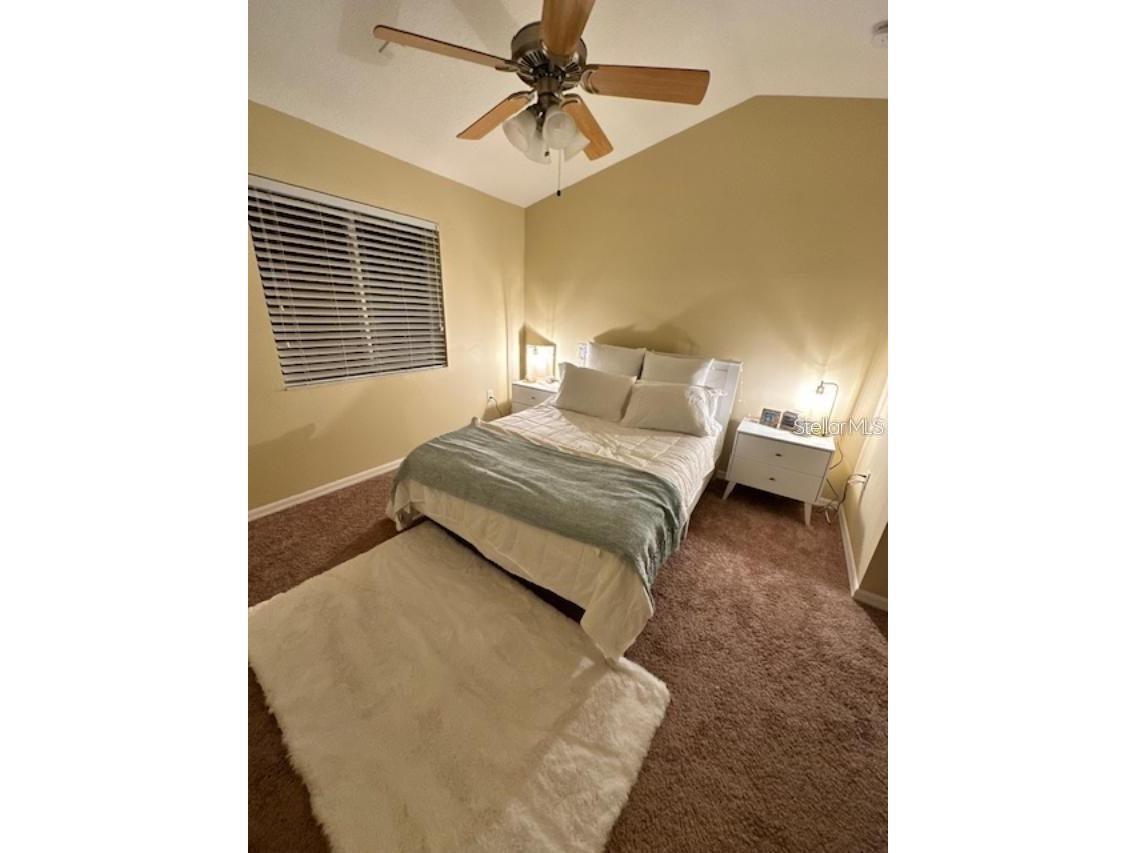 20418 Needletree Drive Tampa FL 33647 TB8479194 image18