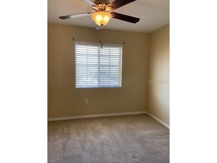 20418 Needletree Drive Tampa FL 33647 TB8479194 image19