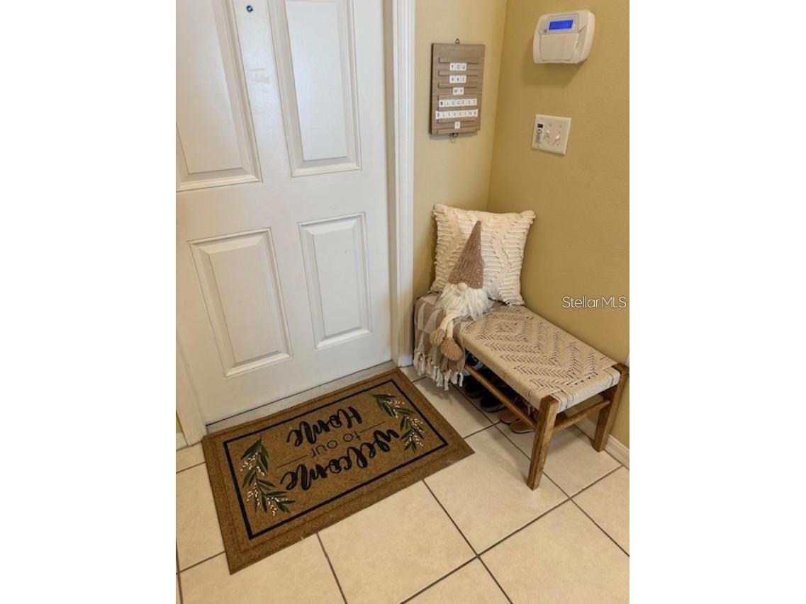 20418 Needletree Drive Tampa FL 33647 TB8479194 image2