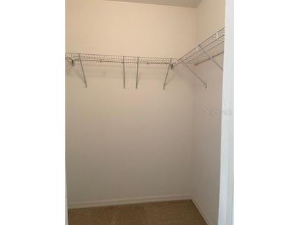 20418 Needletree Drive Tampa FL 33647 TB8479194 image20