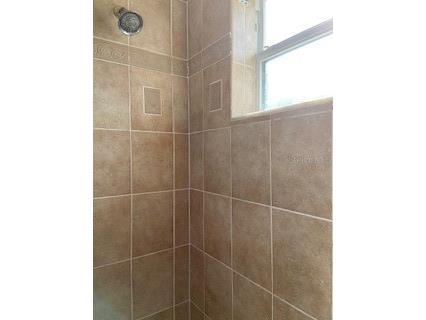 20418 Needletree Drive Tampa FL 33647 TB8479194 image21