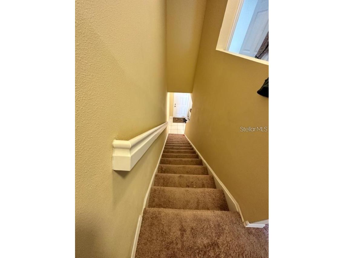 20418 Needletree Drive Tampa FL 33647 TB8479194 image24