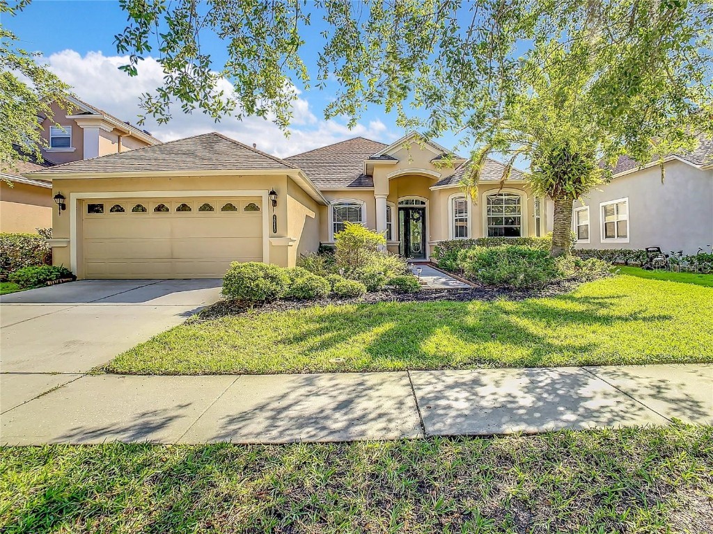20419 Walnut Grove Lane Tampa FL 33647 T3486179 image1