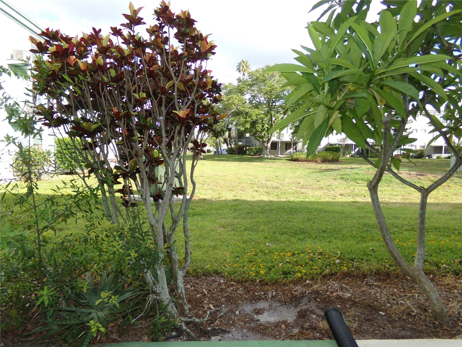 2042 Australia Way W #18 Clearwater FL 33763 TB8503716 image13