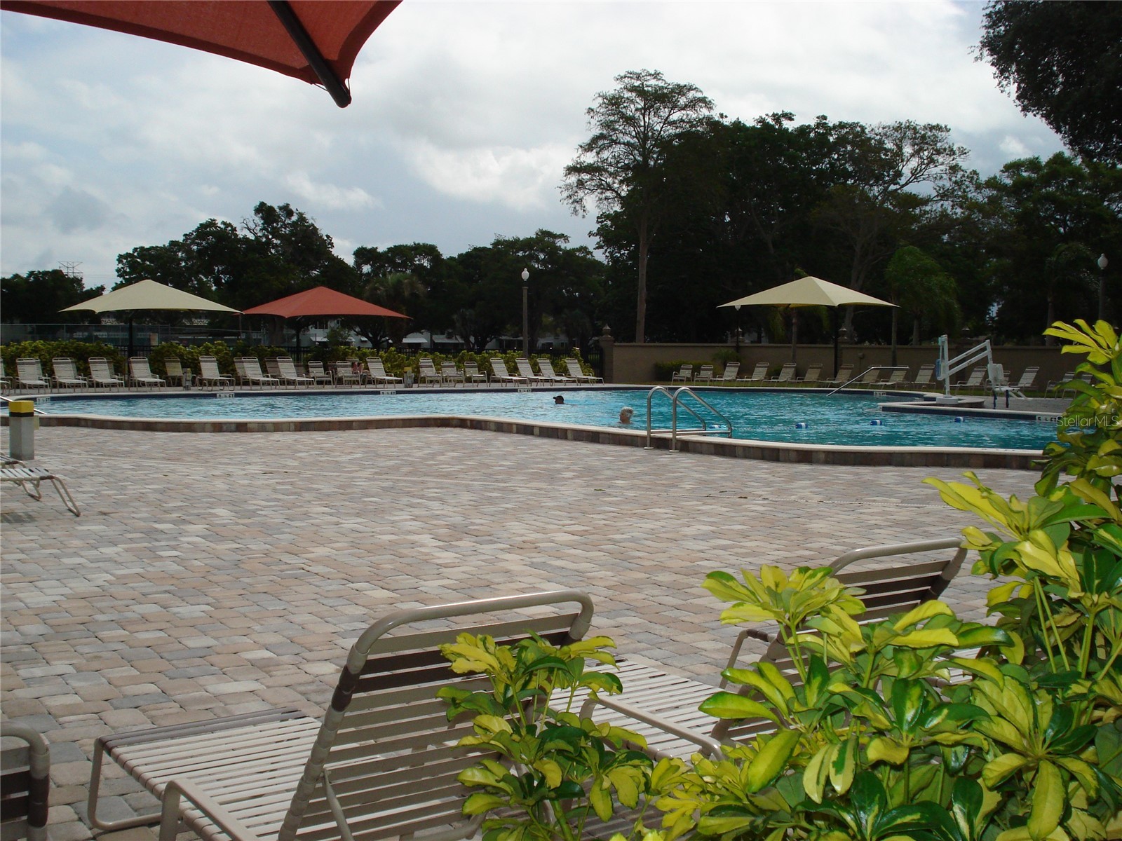 2042 Australia Way W #18 Clearwater FL 33763 TB8503716 image26