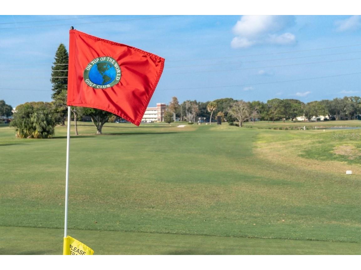 2042 Australia Way W #78 Clearwater FL 33763 TB8421139 image23