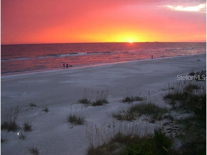 2042 Craft Lane Sarasota FL 34239 TB8418717 image100