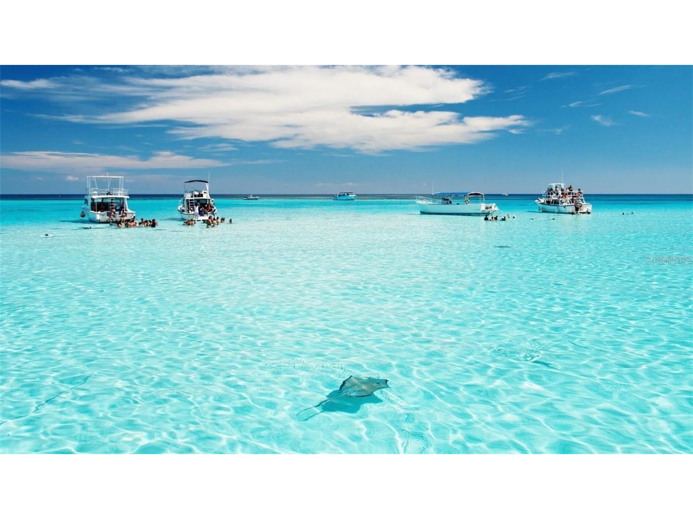 2042 Craft Lane Sarasota FL 34239 TB8418717 image99