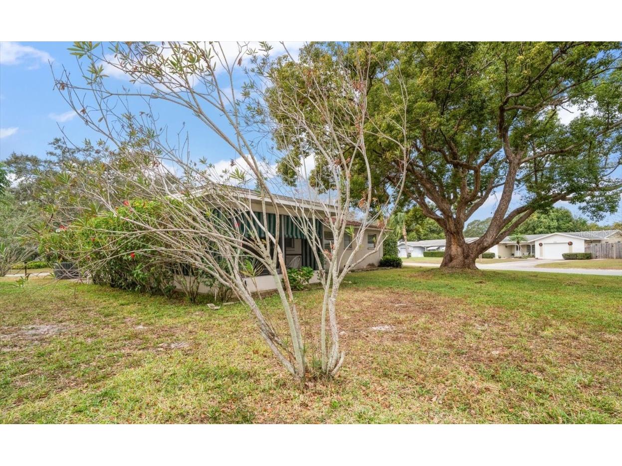 2042 Fair Oak Drive Clearwater FL 33763 TB8456511 image23