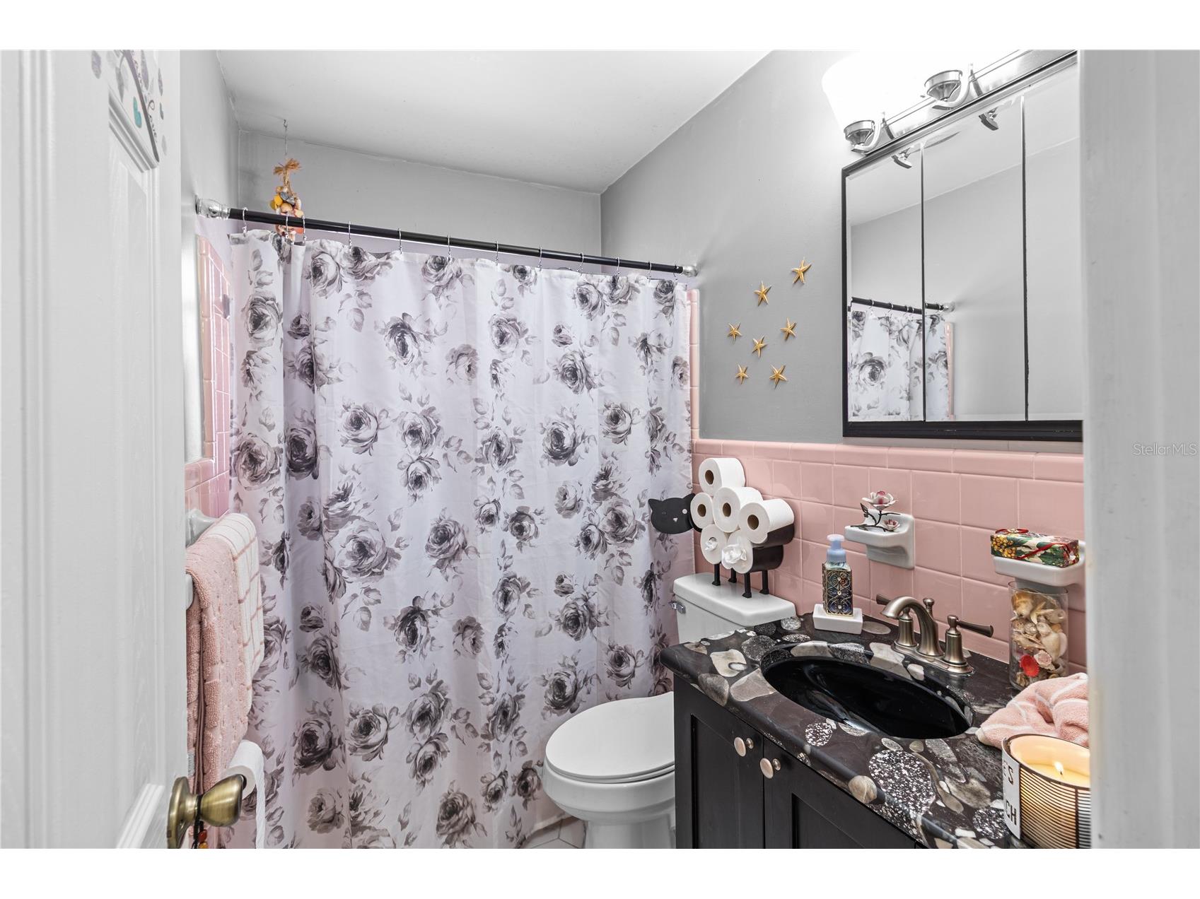 2042 Isabelle Street Largo FL 33774 O6418684 image5
