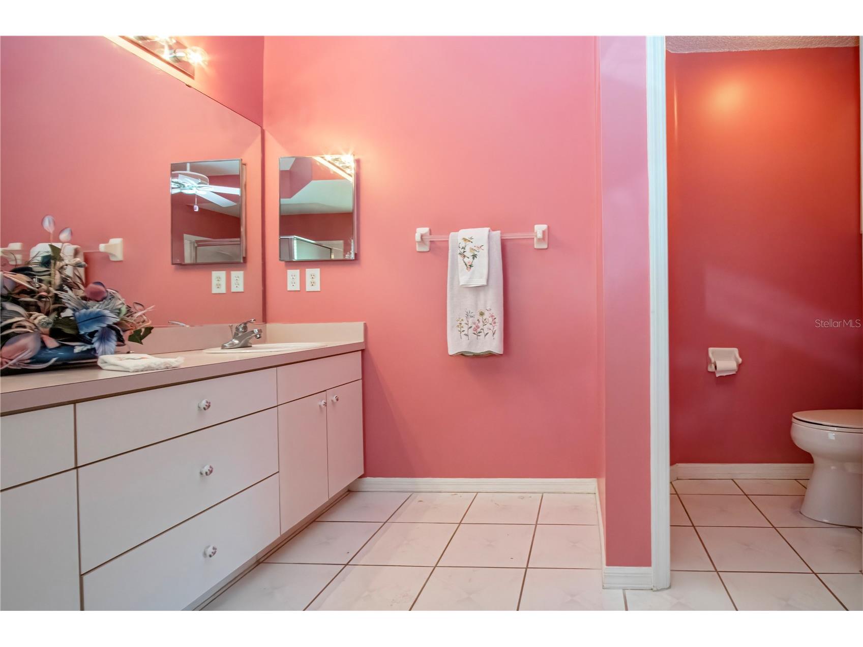 2042 Prestancia Lane Sun City Center FL 33573 TB8512023 image47