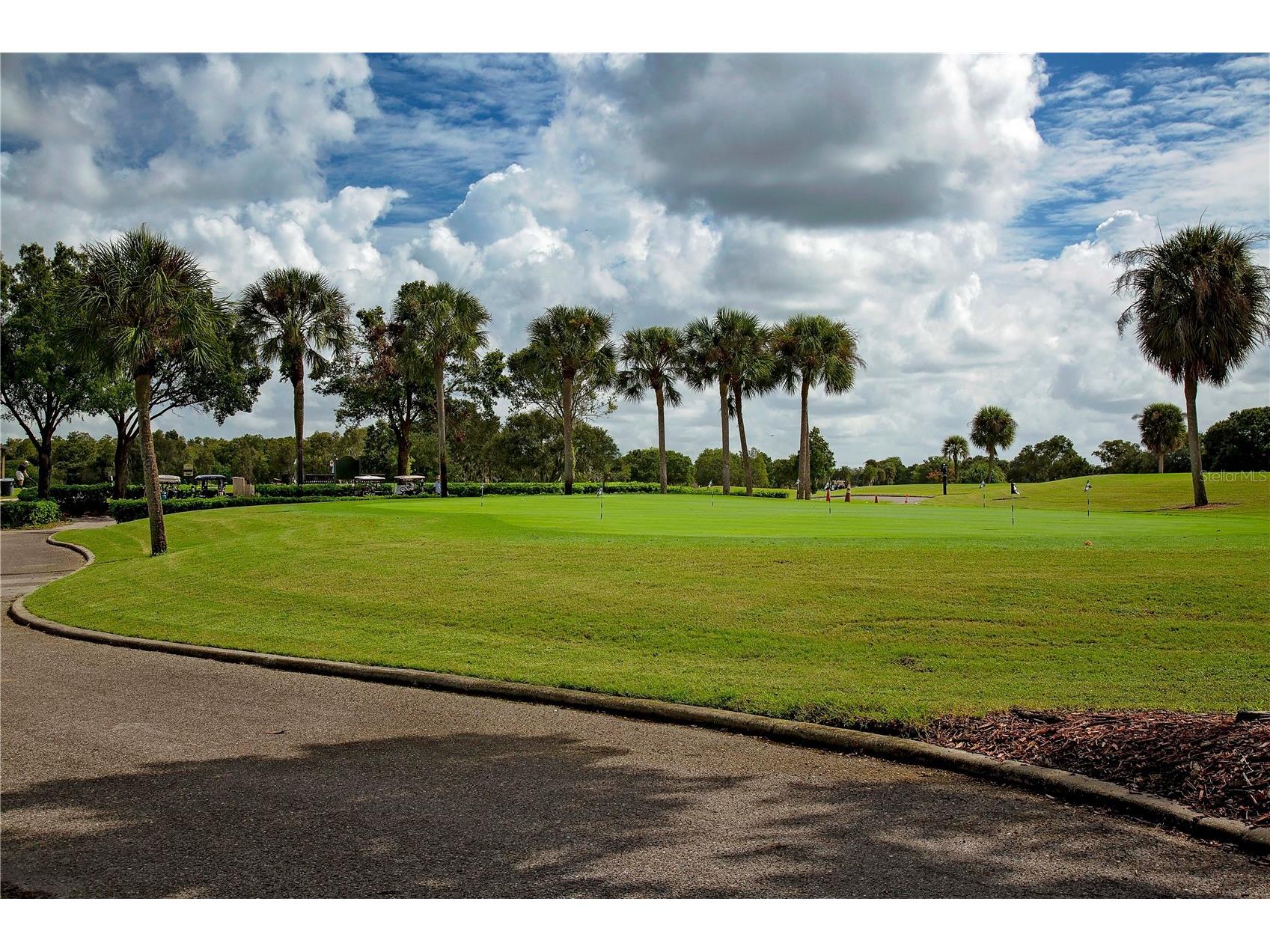 2042 Prestancia Lane Sun City Center FL 33573 TB8512023 image60