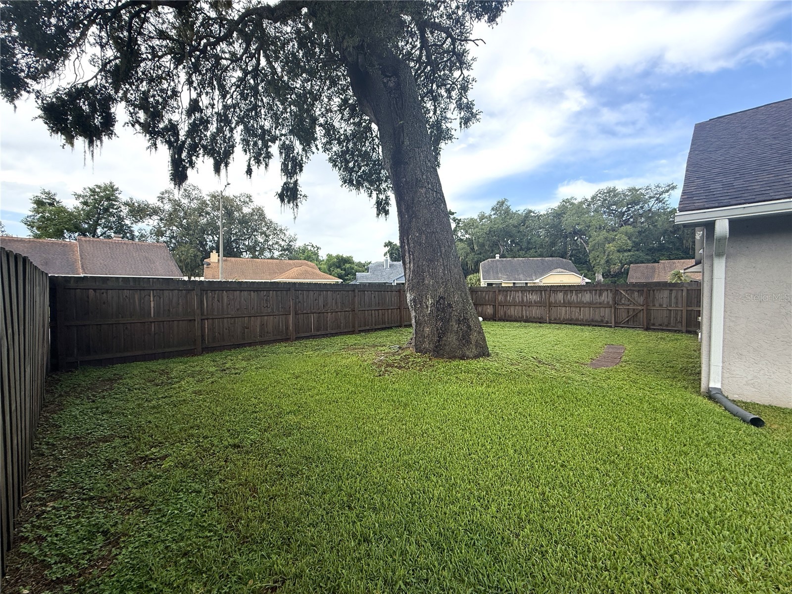 2042 Shadow Pine Drive Brandon FL 33511 TB8528956 image24