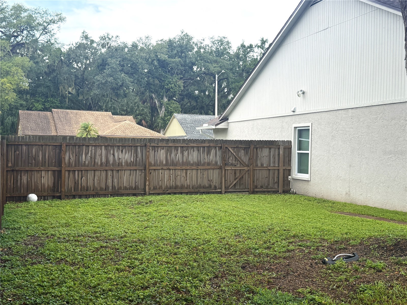 2042 Shadow Pine Drive Brandon FL 33511 TB8528956 image26