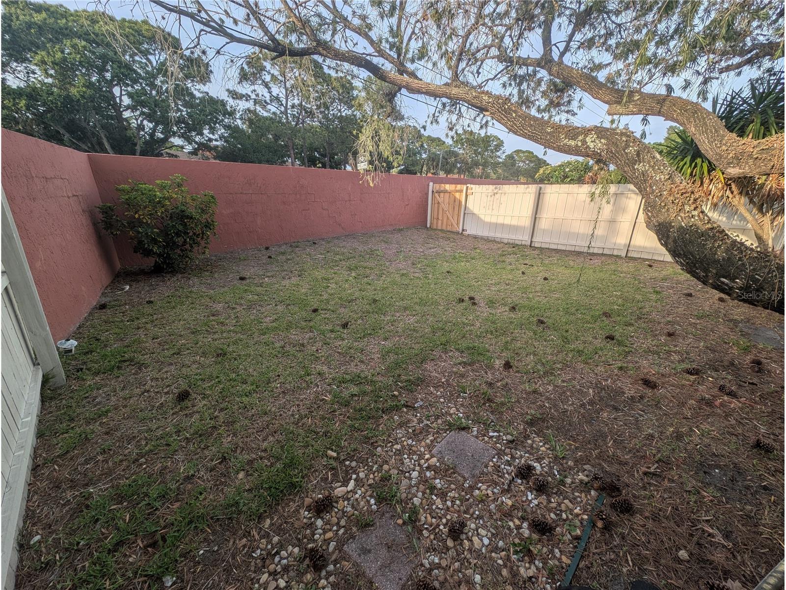 2042 Sunset Grove Lane Clearwater FL 33765 TB8504564 image33