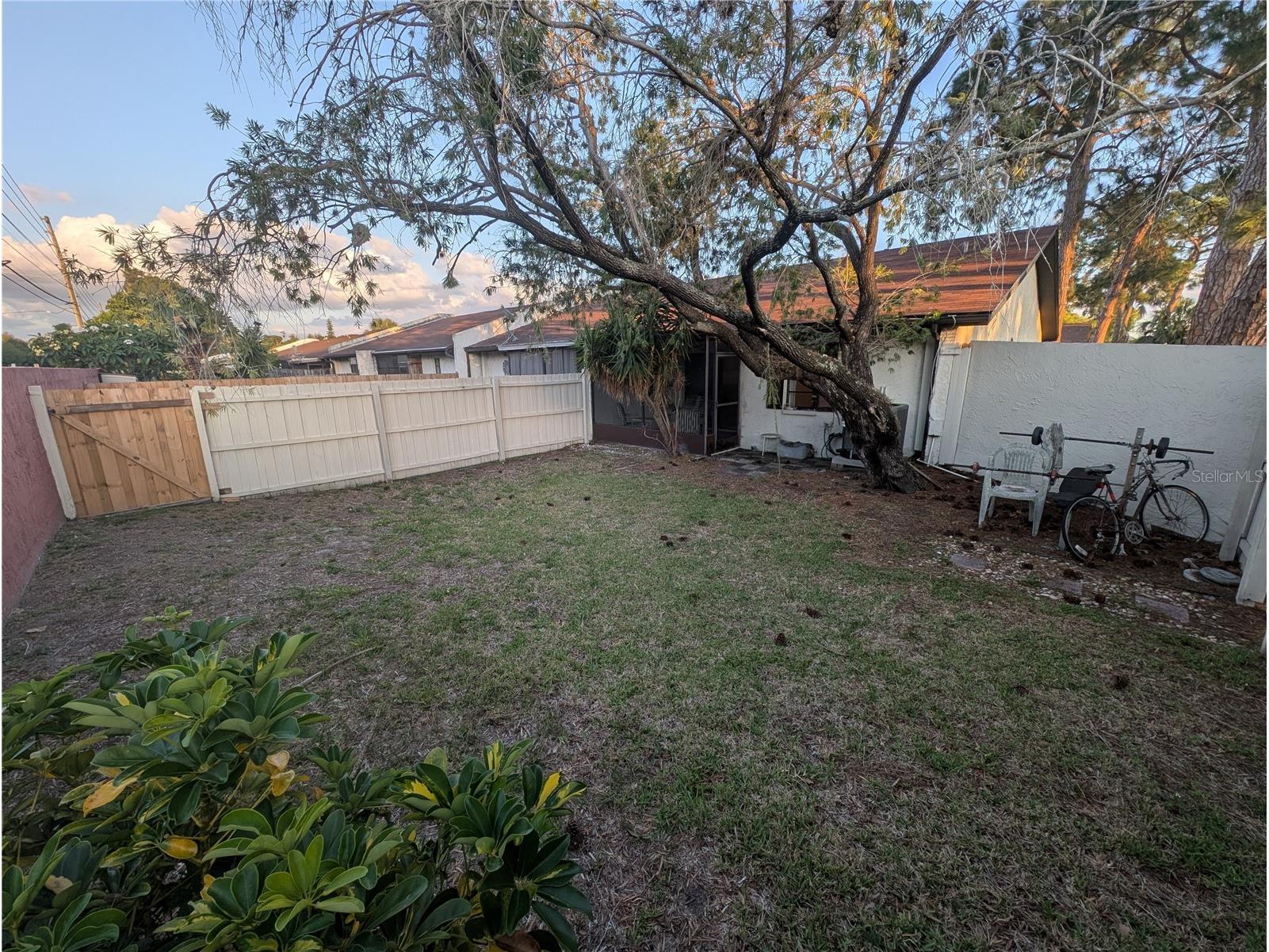 2042 Sunset Grove Lane Clearwater FL 33765 TB8504564 image35