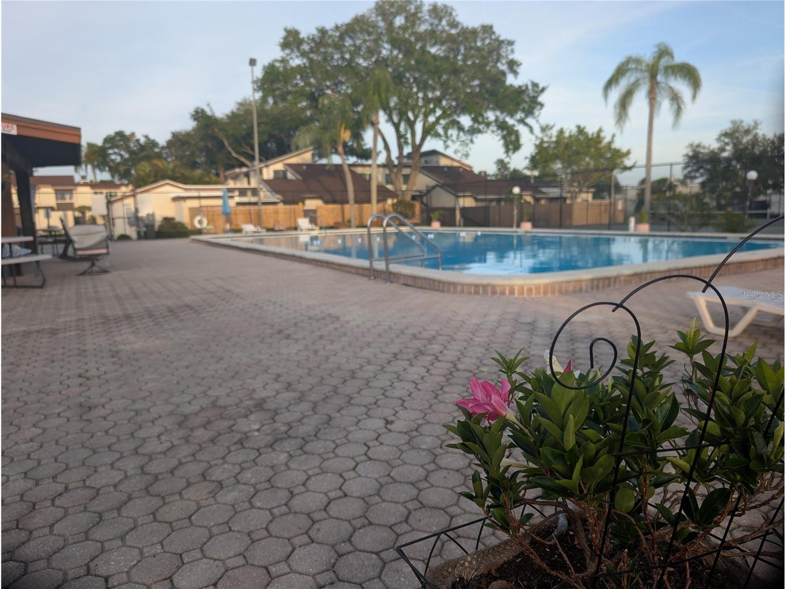 2042 Sunset Grove Lane Clearwater FL 33765 TB8504564 image42