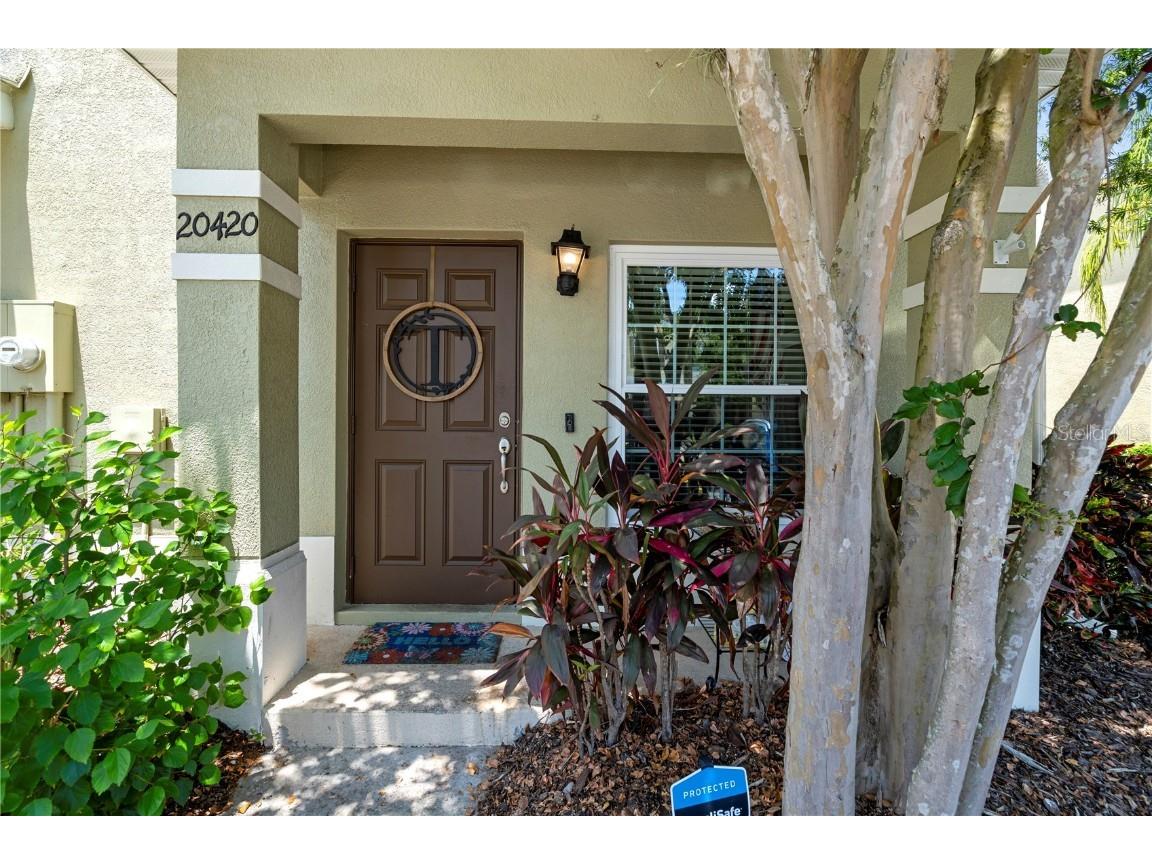 20420 Berrywood Lane Tampa FL 33647 U8210223 image1