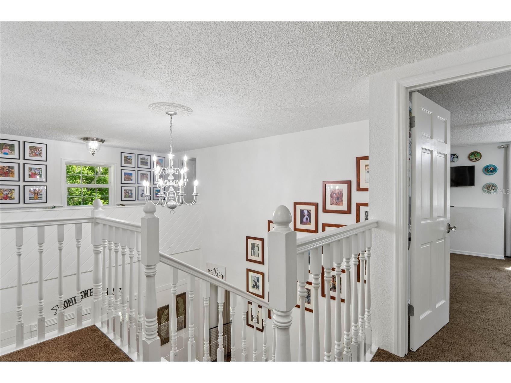 20424 Marguerite Road Brooksville FL 34601 W7884391 image33