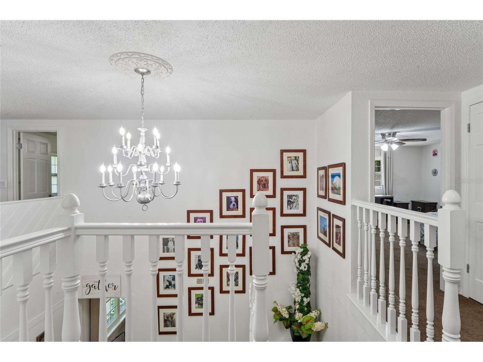 20424 Marguerite Road Brooksville FL 34601 W7884391 image35