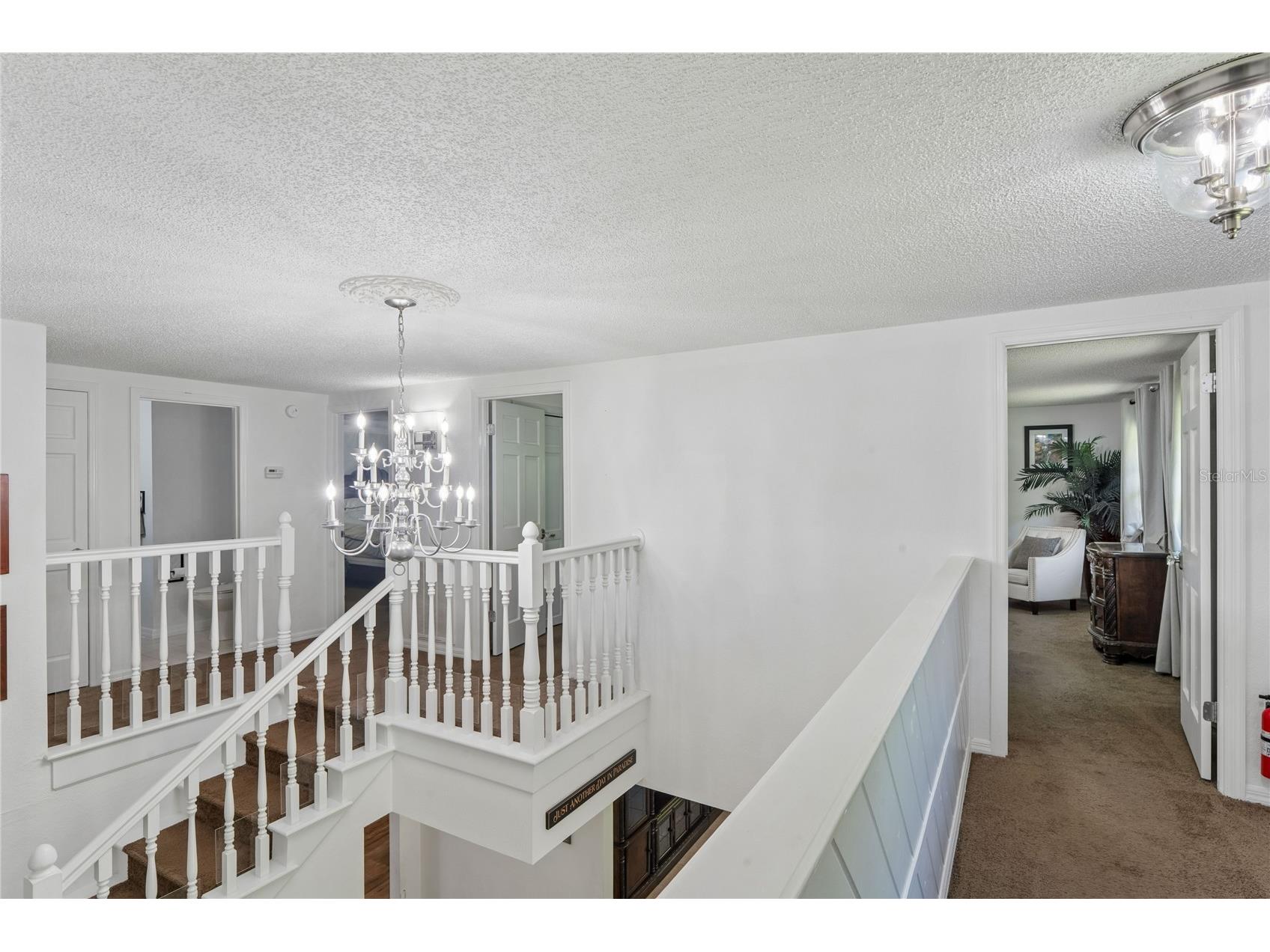 20424 Marguerite Road Brooksville FL 34601 W7884391 image40