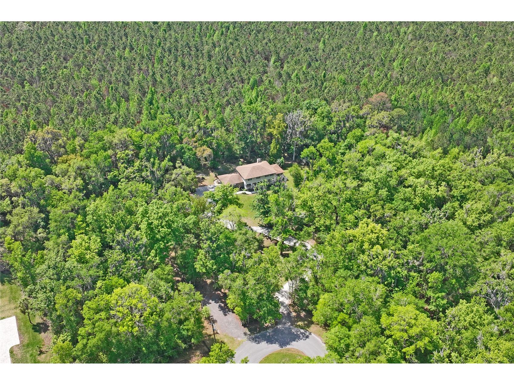 20424 Marguerite Road Brooksville FL 34601 W7884391 image72
