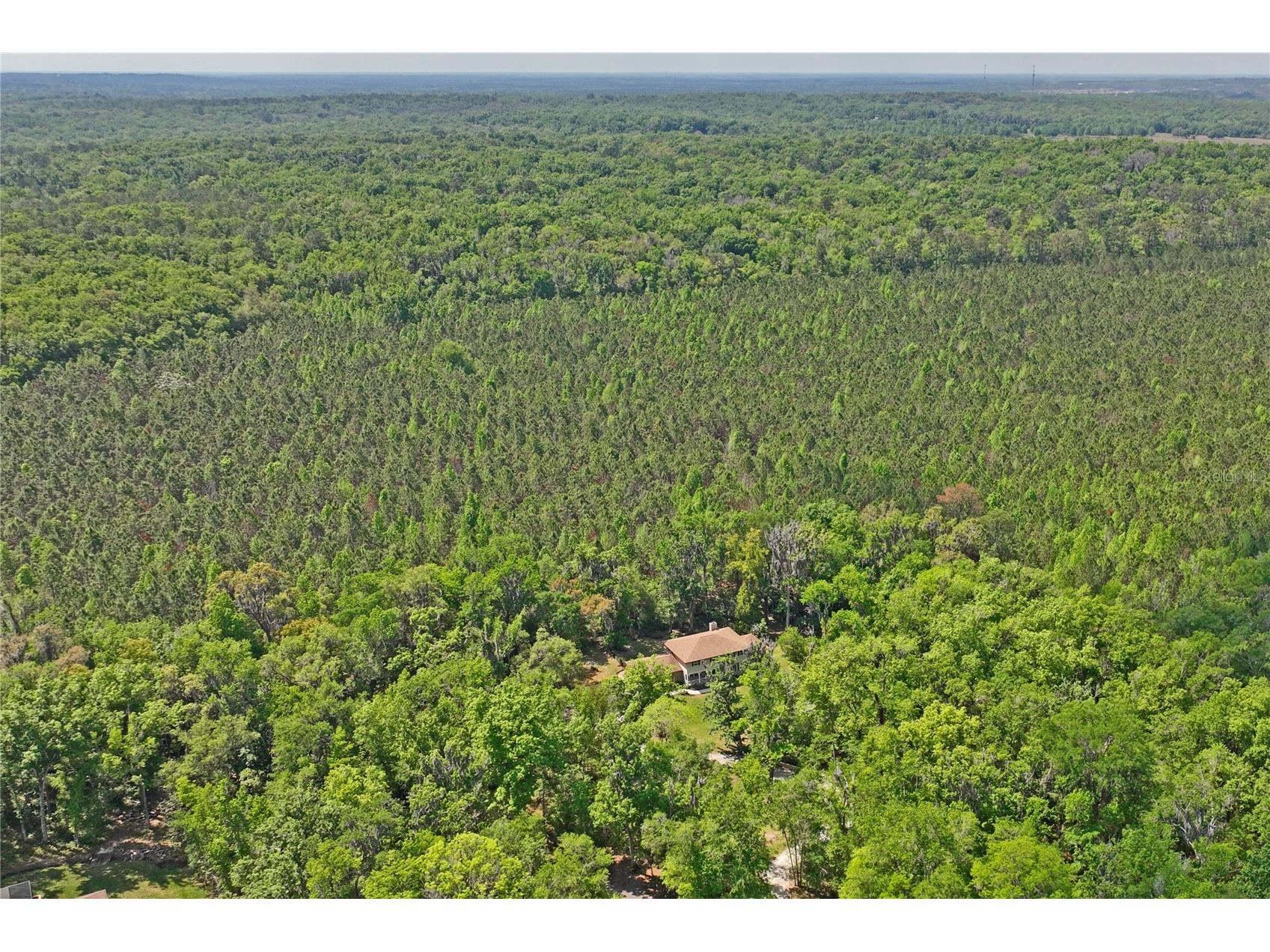 20424 Marguerite Road Brooksville FL 34601 W7884391 image74