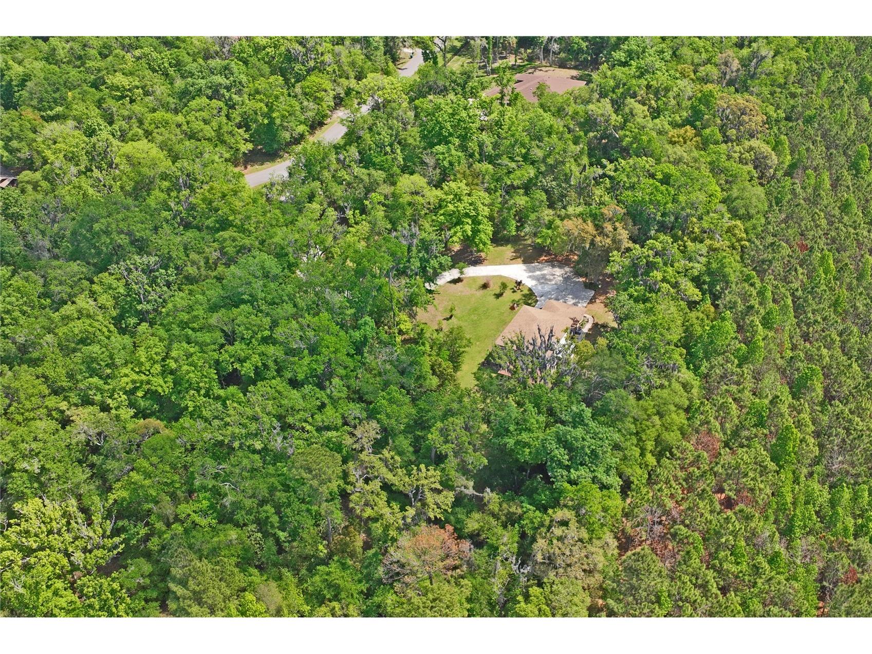 20424 Marguerite Road Brooksville FL 34601 W7884391 image76