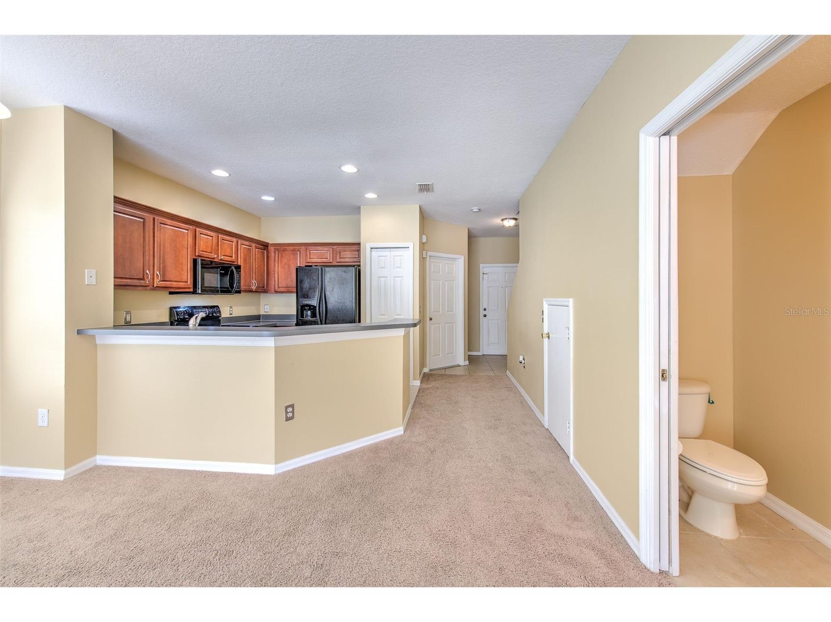 20424 Needletree Drive Tampa FL 33647 TB8470941 image16