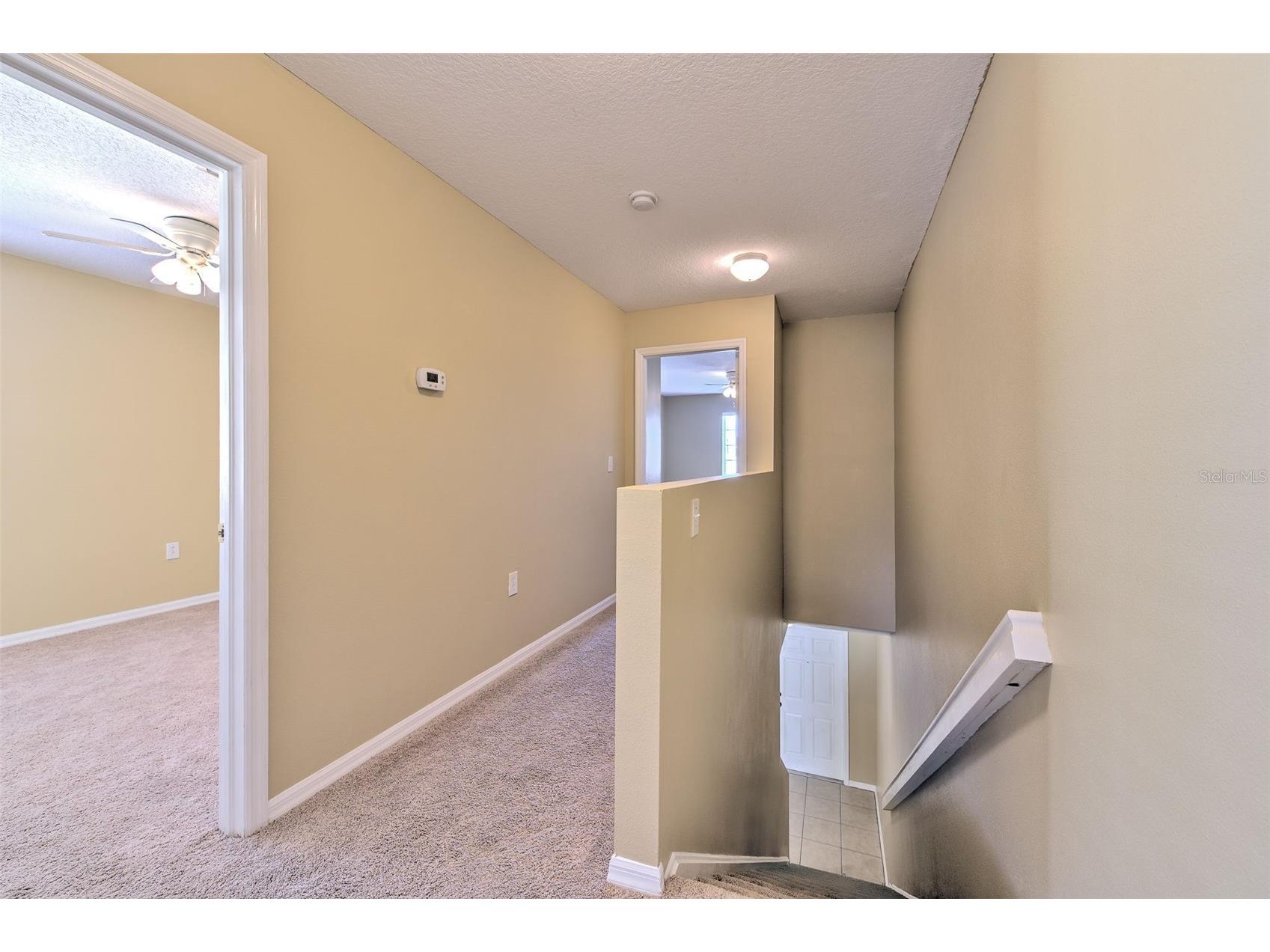 20424 Needletree Drive Tampa FL 33647 TB8470941 image18